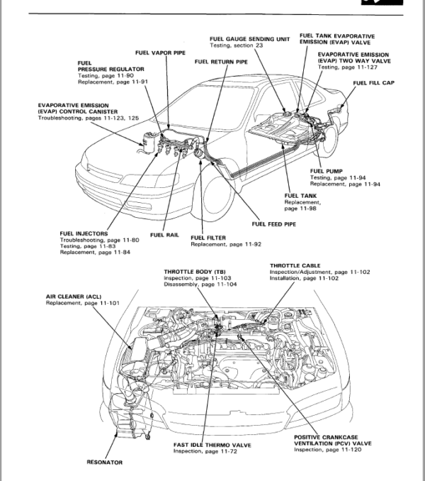 Honda Accord 1994, 1995, 1996, 1997 Repair Manual