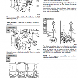 Iveco F4be0484e, F4be0684d And F4be0684b Engines Service Manual